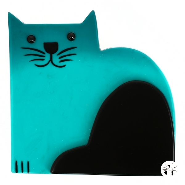 Chat Socrate turquoise